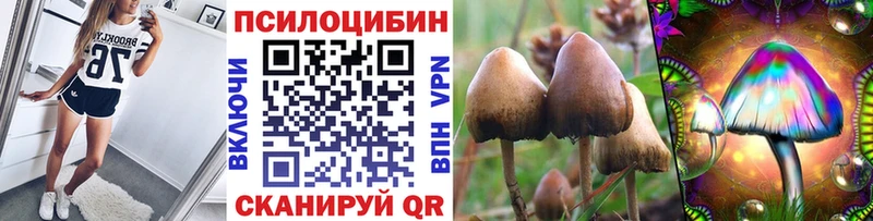 Псилоцибиновые грибы GOLDEN TEACHER  продажа наркотиков  Остров 